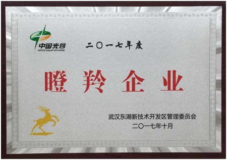 熱烈祝賀鑫英泰再次被評(píng)定為“中國(guó)光谷瞪羚企業(yè)”